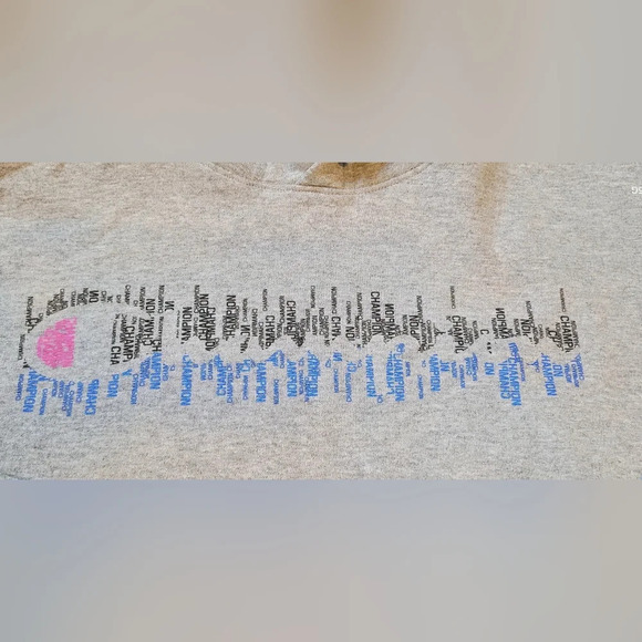 champion shop hooded pullover sweatshirt, unisex, size youth XLG/ adult sm, gray - Picture 4 of 8